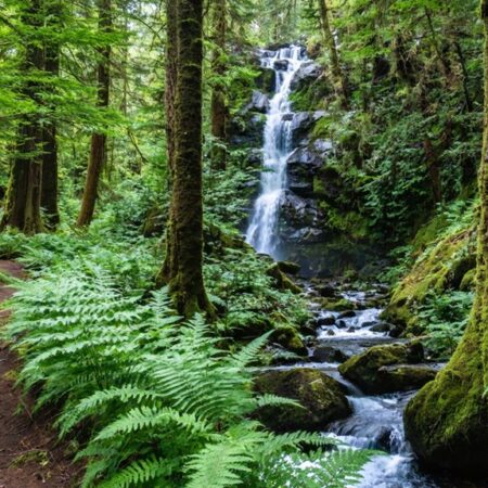 Parque Natural Tricahue – Chile
